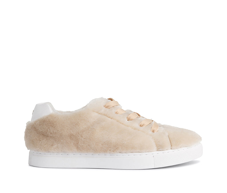 Aardman Low Top Sneaker - Sneaker | Womens Shoes - Merchant 1948