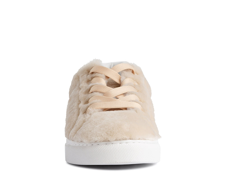 Aardman Low Top Sneaker - Sneaker | Womens Shoes - Merchant 1948