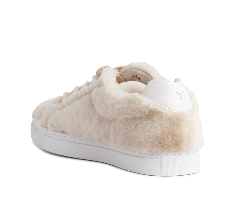 Aardman Low Top Sneaker - Sneaker | Womens Shoes - Merchant 1948