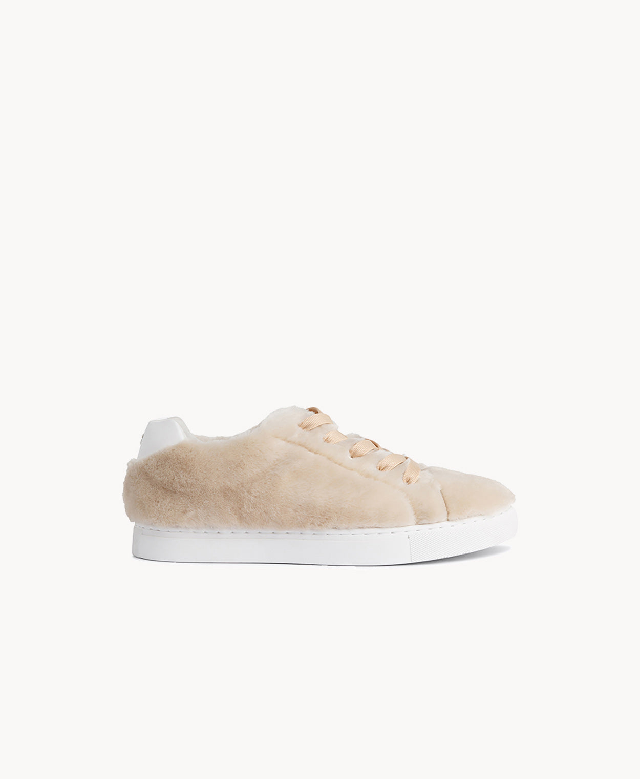 Aardman Low Top Sneaker - Sneaker | Womens Shoes - Merchant 1948