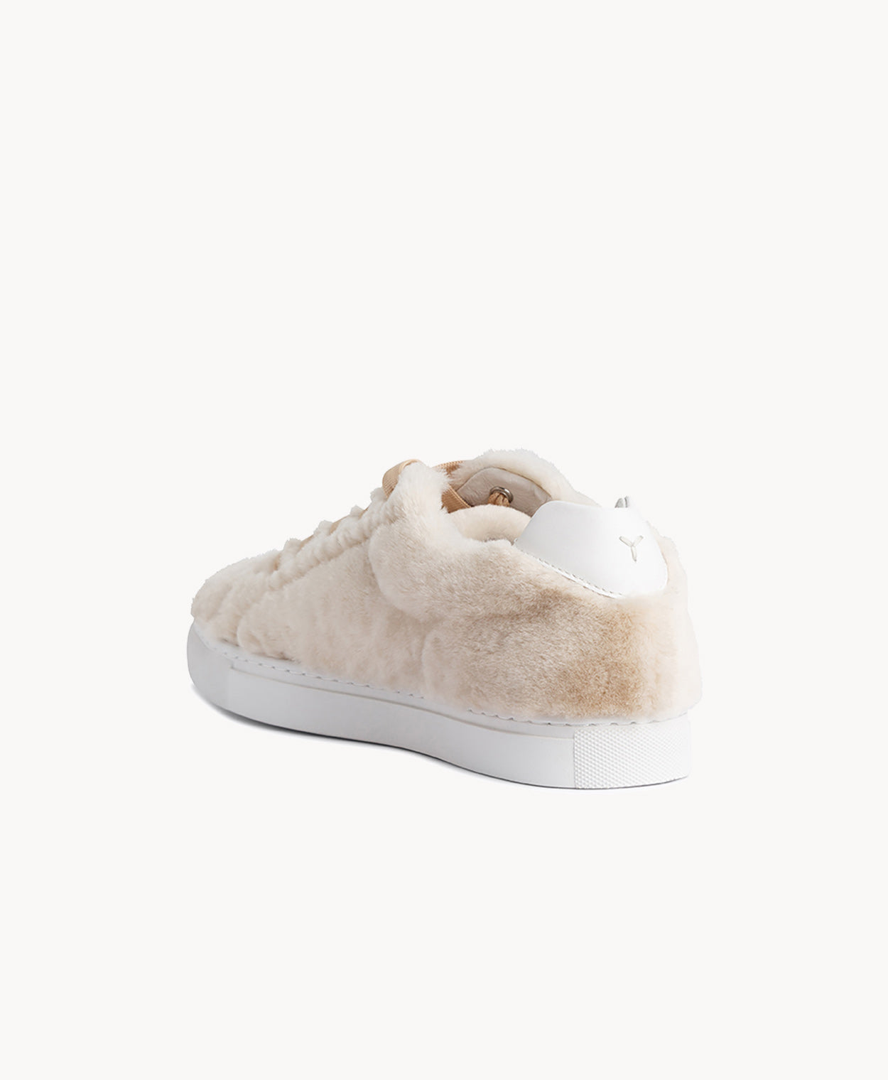 Aardman Low Top Sneaker - Sneaker | Womens Shoes - Merchant 1948