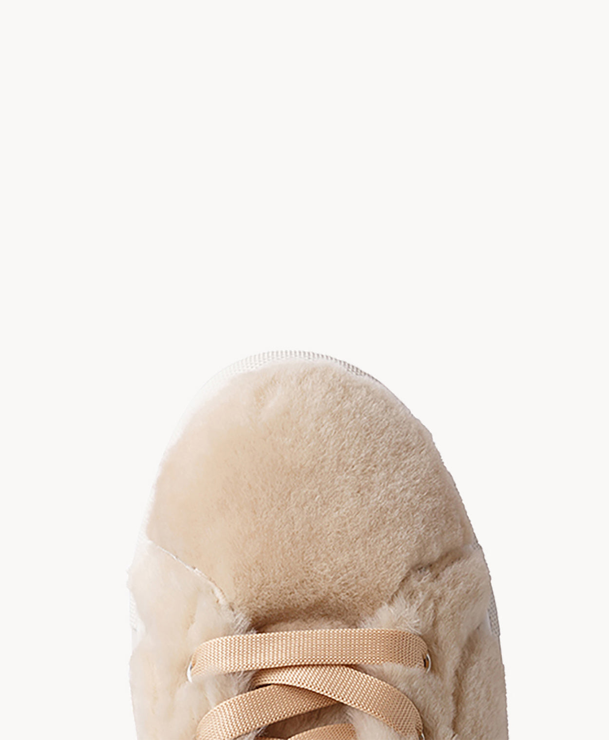 Aardman Low Top Sneaker - Sneaker | Womens Shoes - Merchant 1948