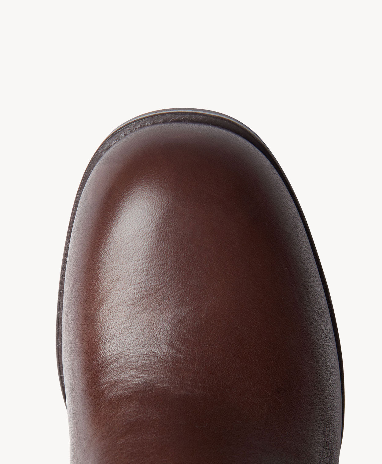 Acacia Long Boot - - Merchant 1948