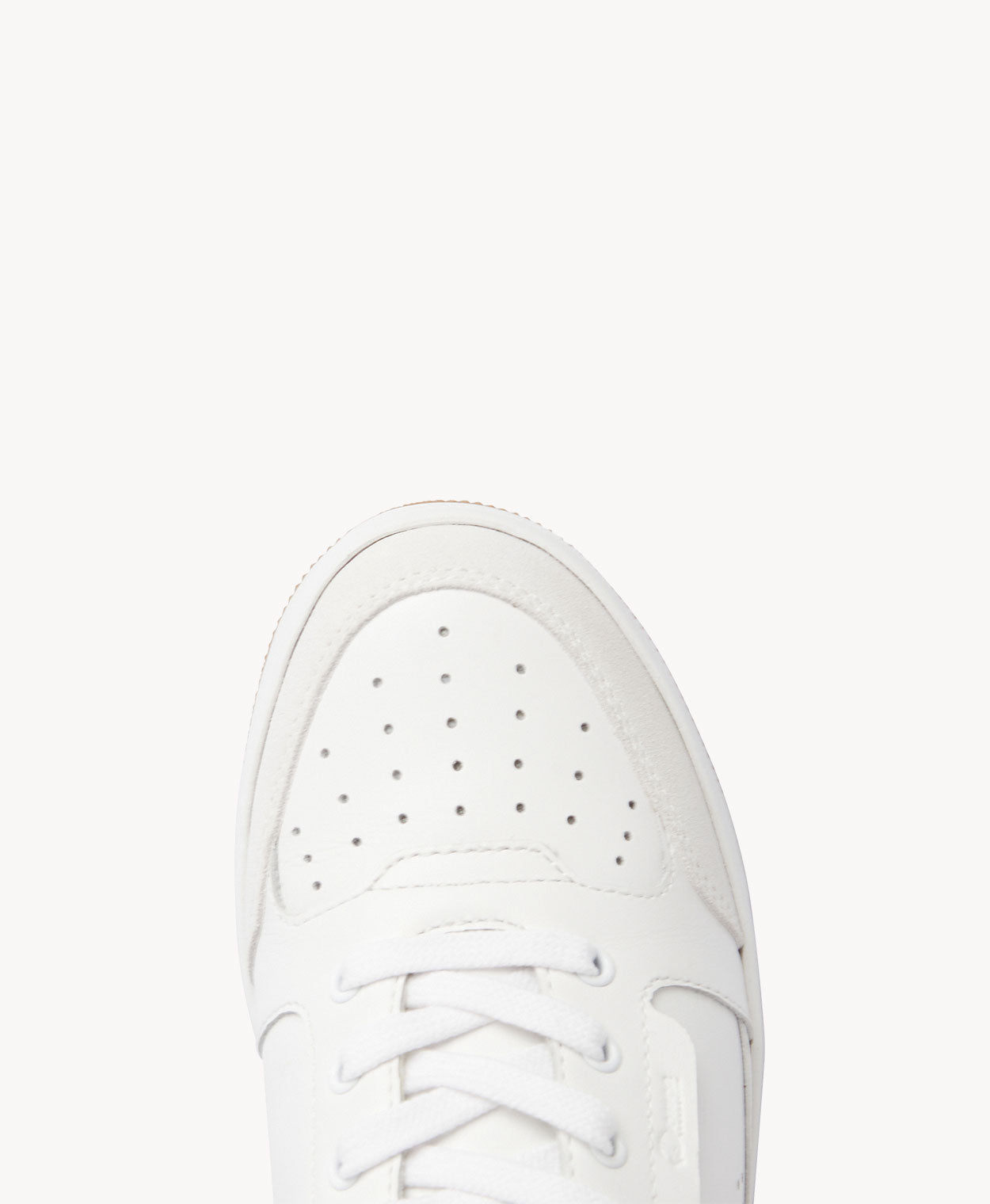 Inky Sneaker - - Merchant 1948