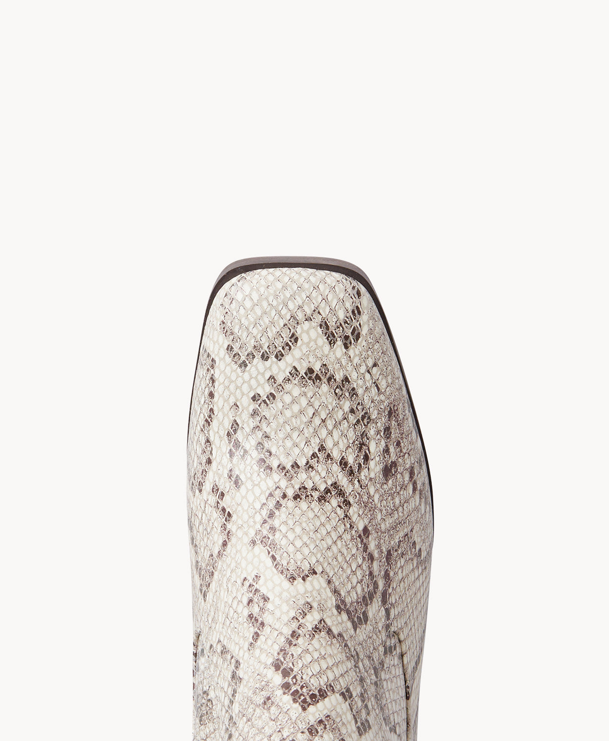 Ebbet knee high boot - Boots Long | Womens Shoes - Merchant 1948