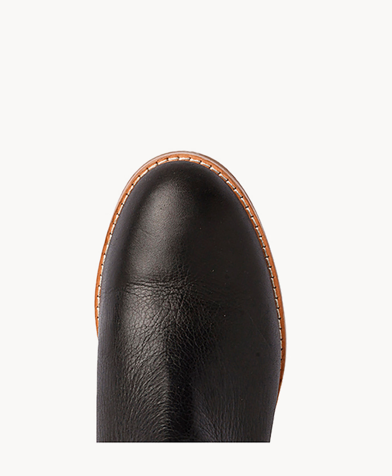 Ebony Leather Ankle Boot - Boots Ankle | Womens Shoes - Merchant 1948