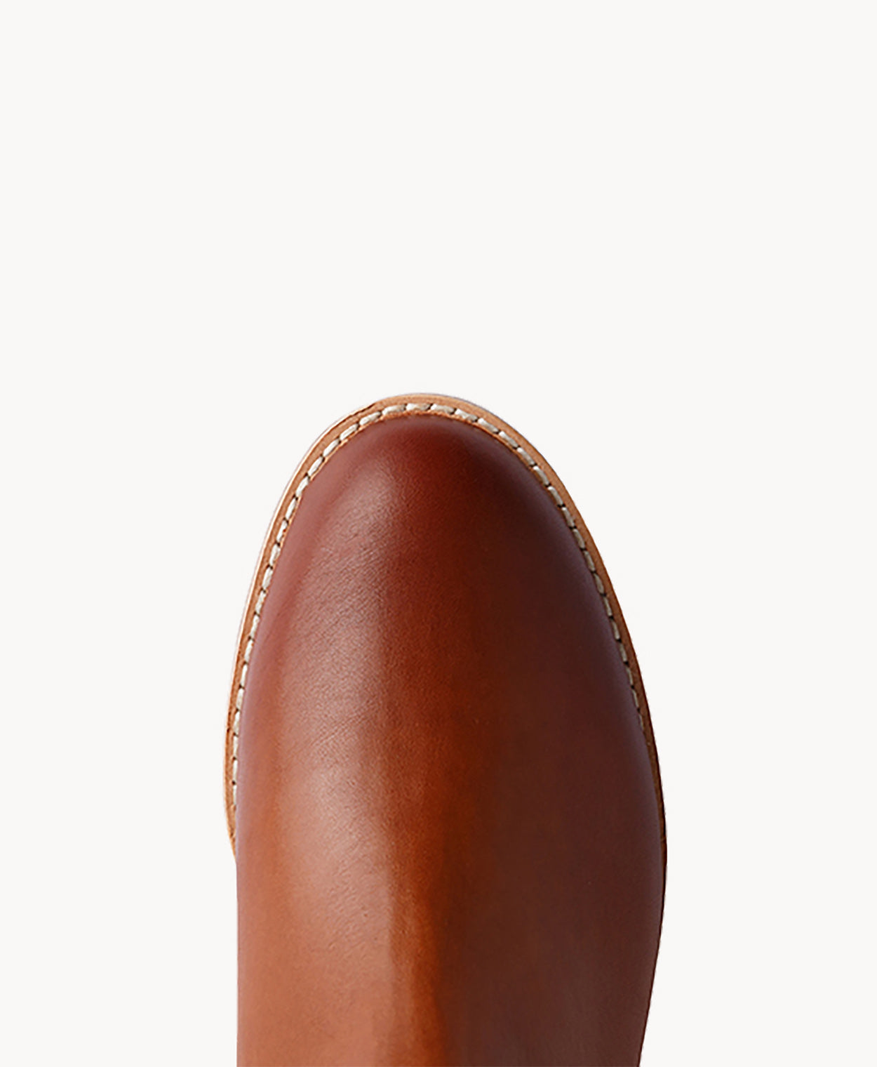 Ebony Leather Ankle Boot - Boots Ankle | Womens Shoes - Merchant 1948