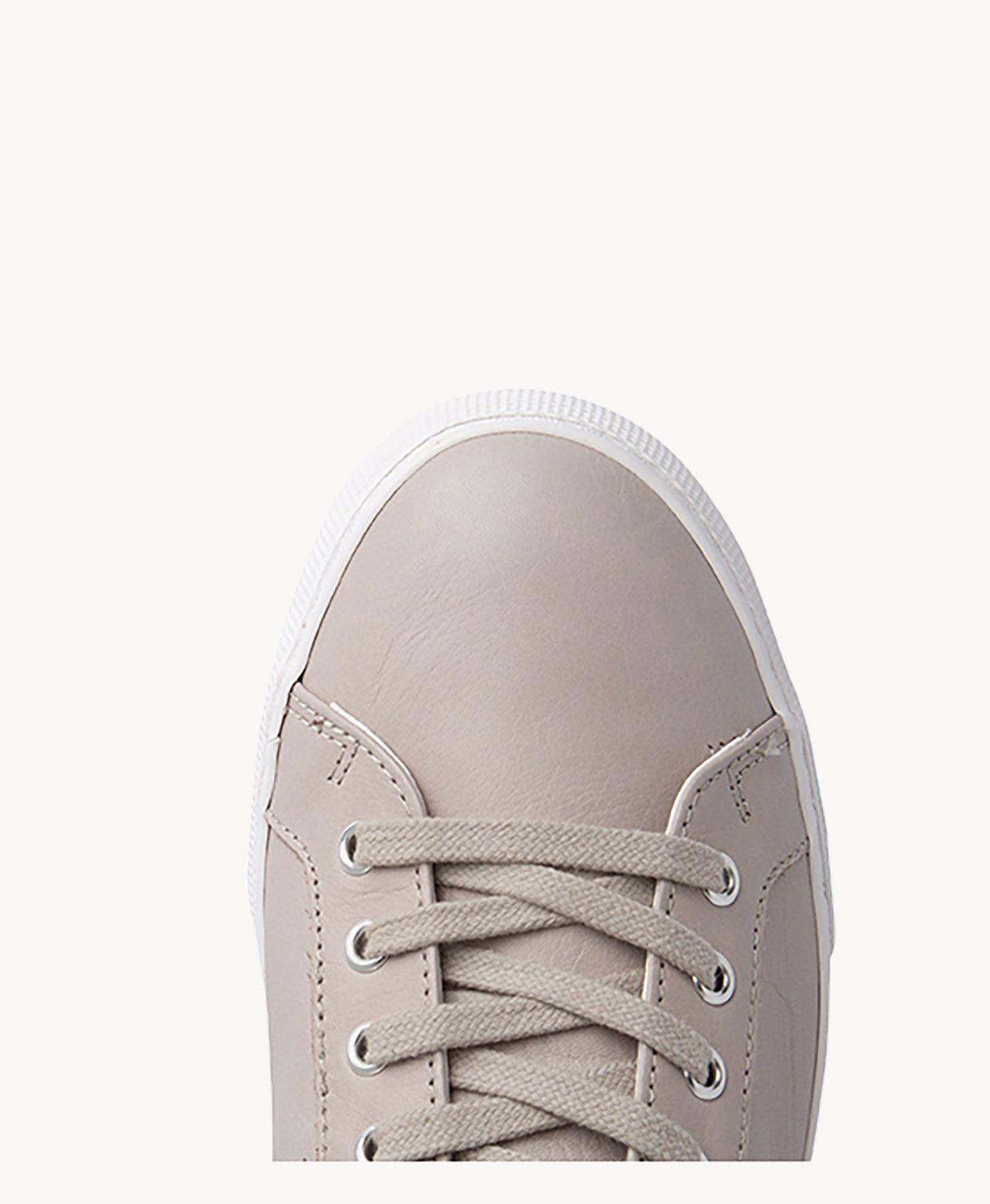 Posey Sneaker - Sneaker | Womens Shoes - Merchant 1948