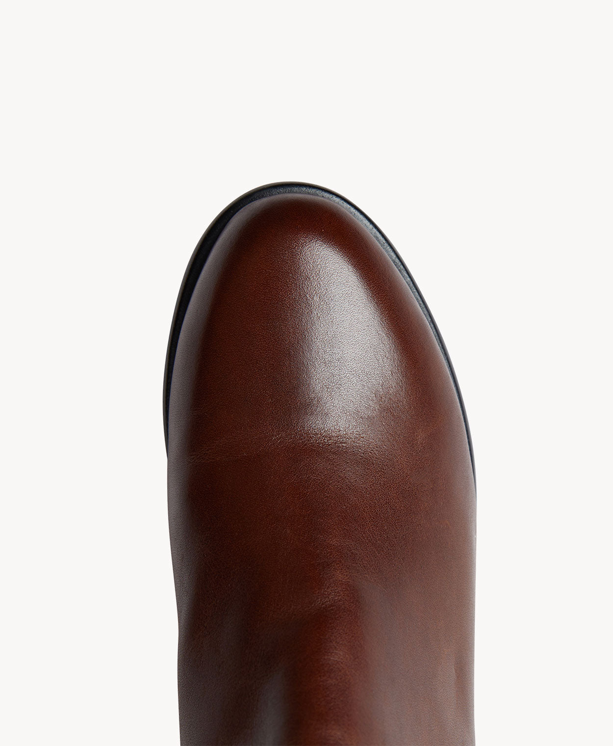 Sal Knee High Boot with Stretch Calf - Boots Long | Womens Shoes - Merchant 1948