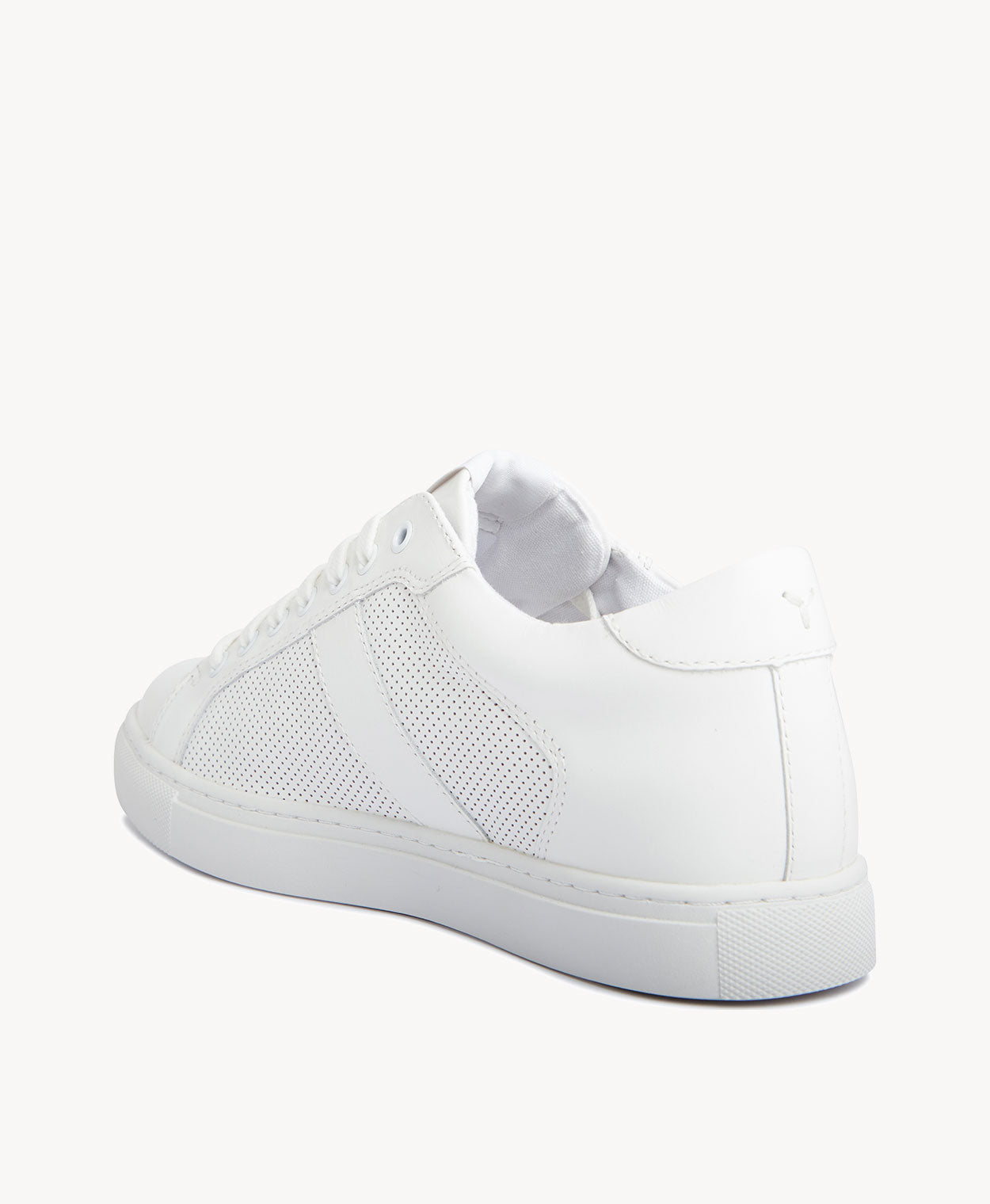 Tamzin Sneaker - - Merchant 1948
